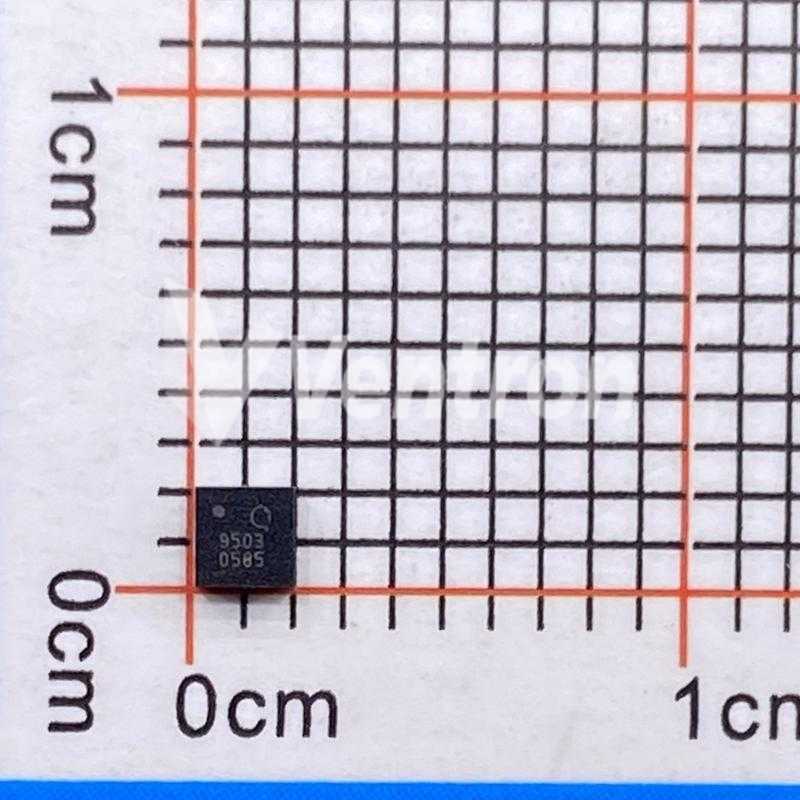 L91 Detail Images
